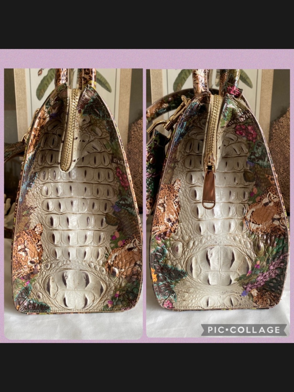 ๐ด๐๐พ EXOTIC and GORGEOUS ACADIA OMBRE CAROLINE Satchel by Brahmin - Picture 8 of 13